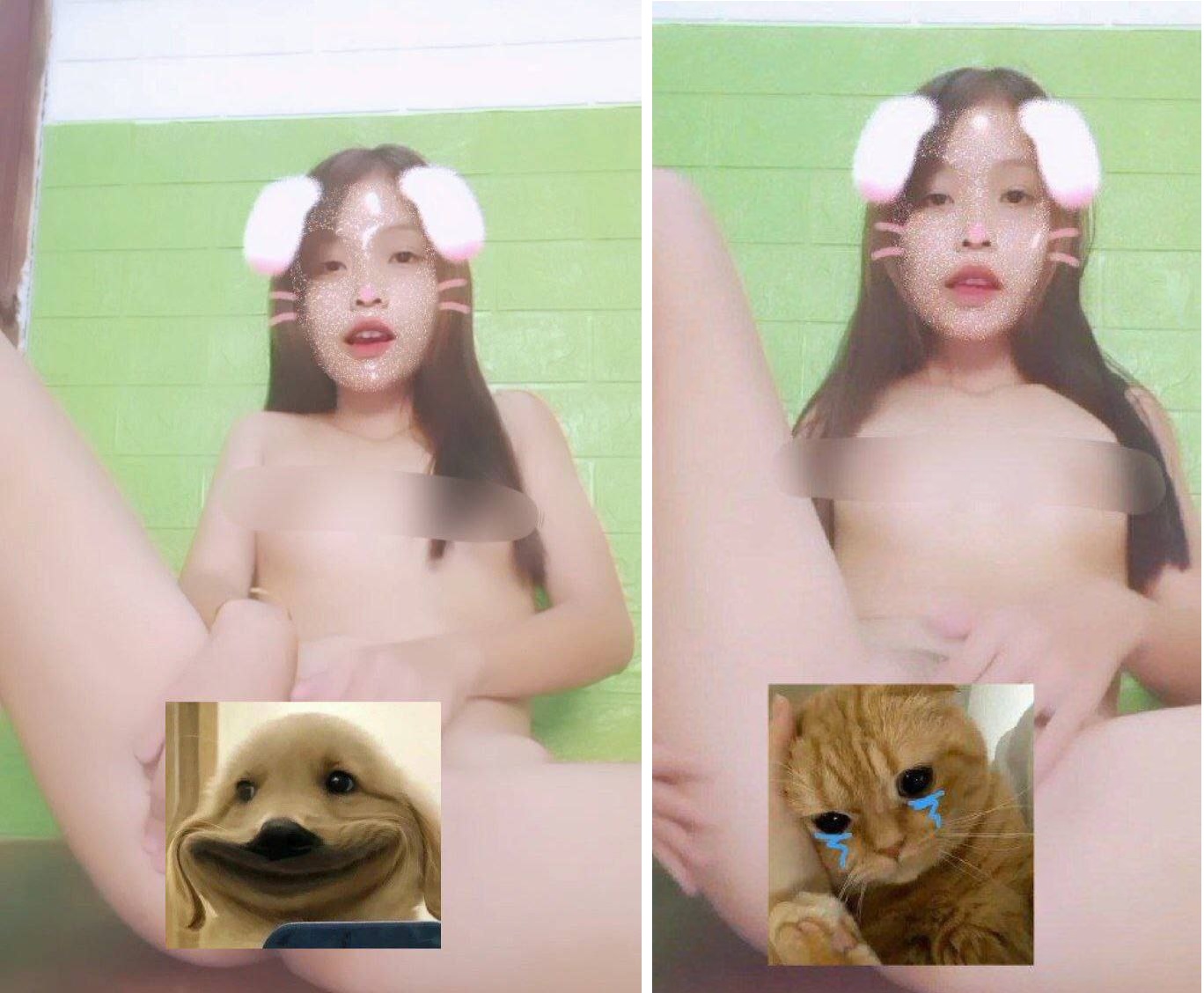 Thỏ Tik toker mèo nóng bỏng mưa dâm đãng